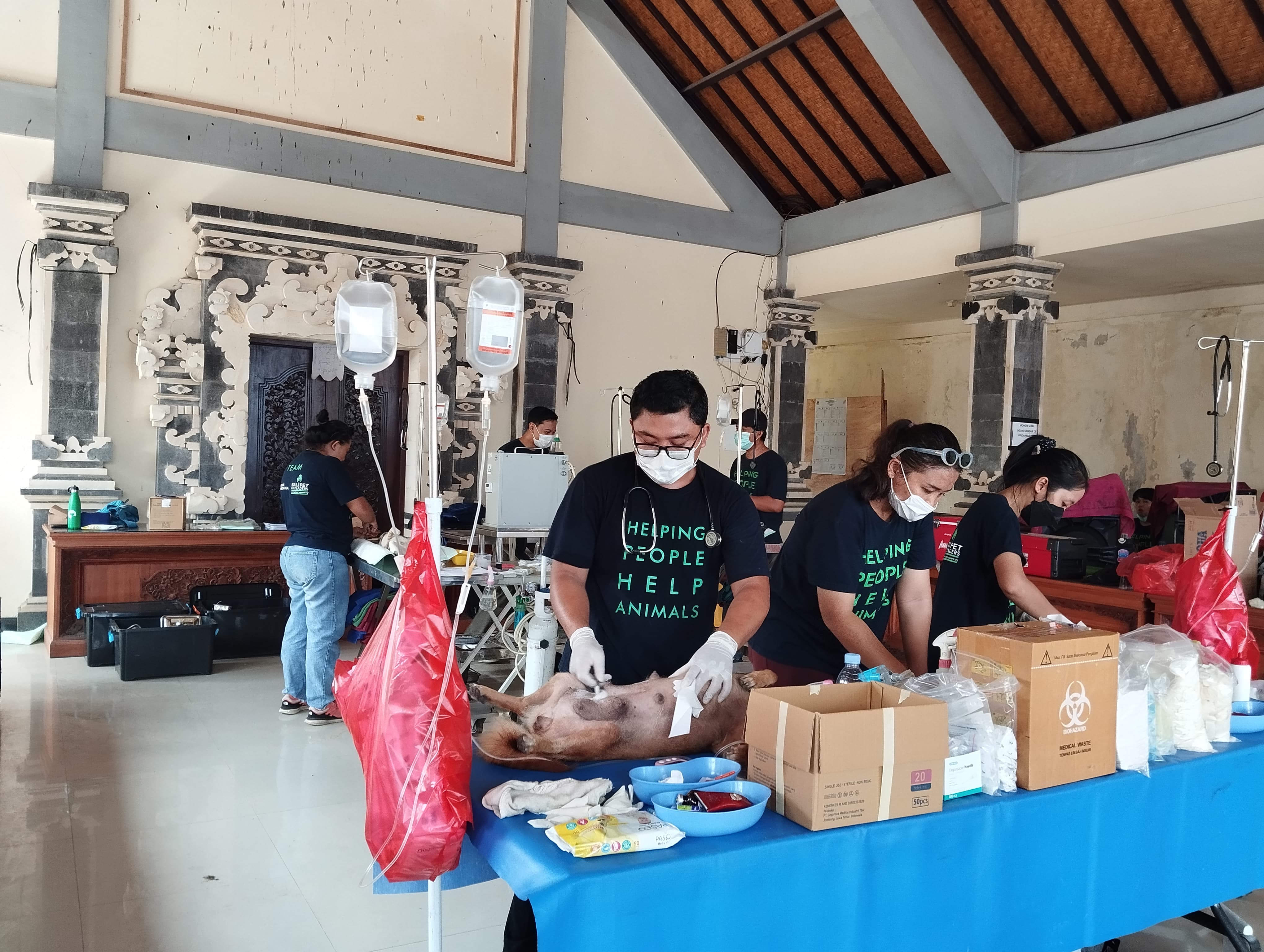 STERILISASI HPR : Petugas saat melakukan sterilisasi HPR yang berlangsung di Aula Desa Mendoyo Dauh Tukad, Kecamatan Mendoyo, Kabupaten Jembrana, Kamis (30/5).