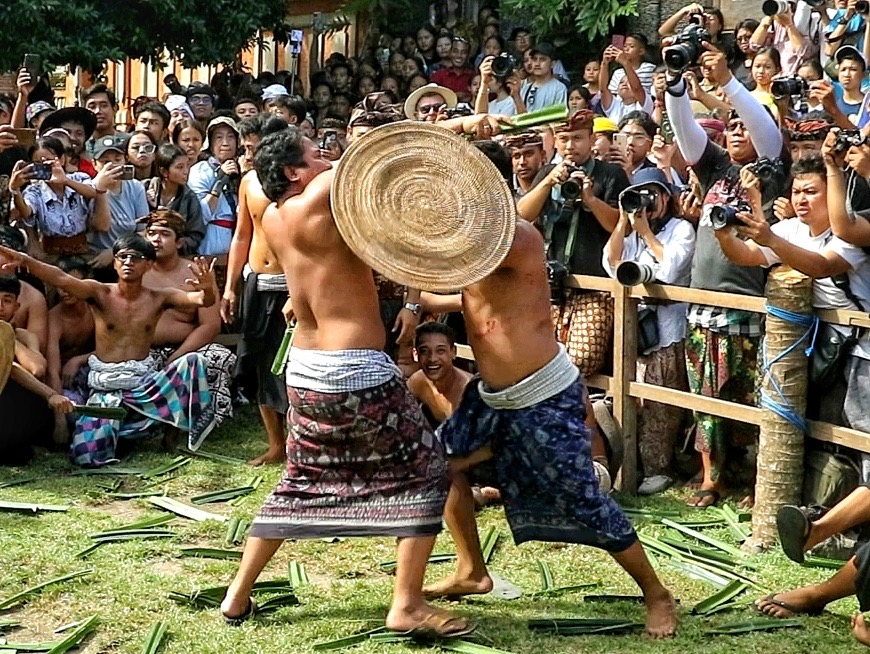 PERANG PANDAN: Perang Pandan yang dilaksanakan di Desa Tenganan Pegringsingan, Manggis, Karangasem, Rabu (5/6).
