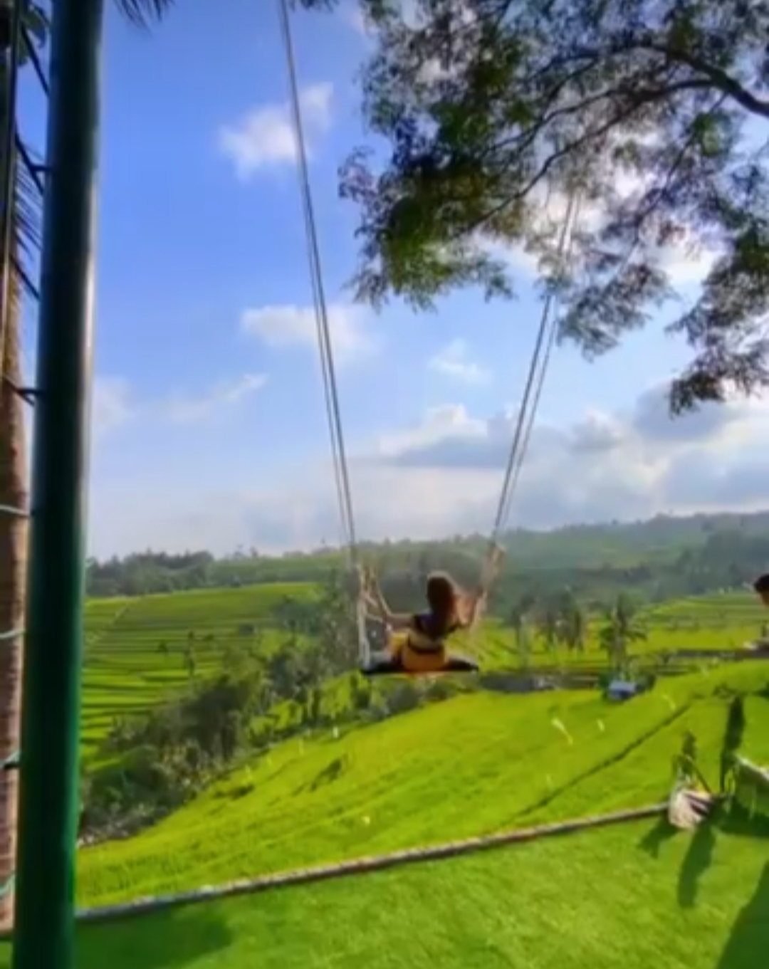 Pengunjung sedang menikmati aktivitas Giant Swing dengan pemandangan terasering jatiluwih.