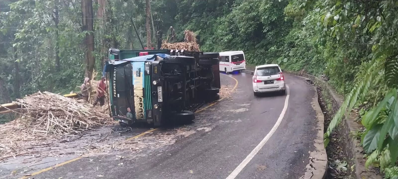 Truk angkut tebu kecelakaan di hutan Gumitir Jember tepatnya di tikungan Mbah Singo.