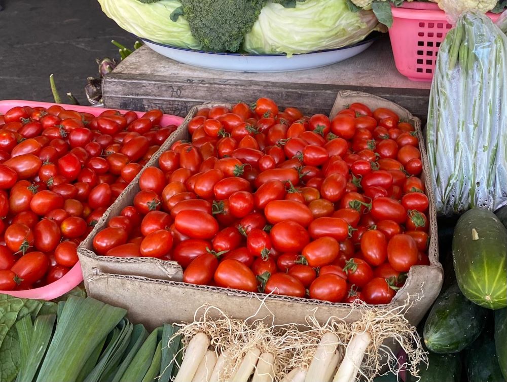 Tomat Ceri, buah kecil memiliki banyak manfaat untuk kesehatan.