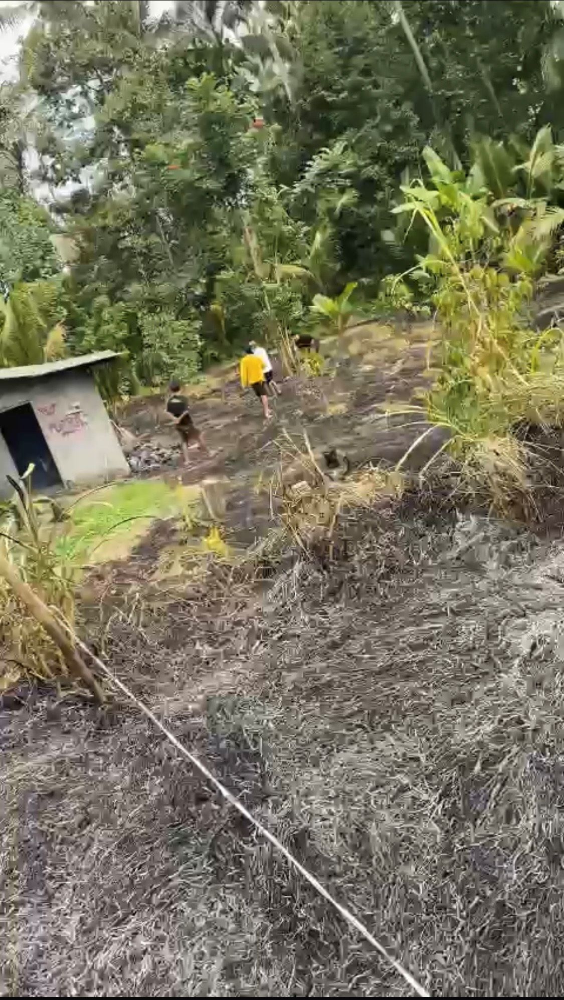 Kebun anggota Dewan Badung Artawa dibakar oleh terduga pelaku yang sama kasus penembakan rumahnya.