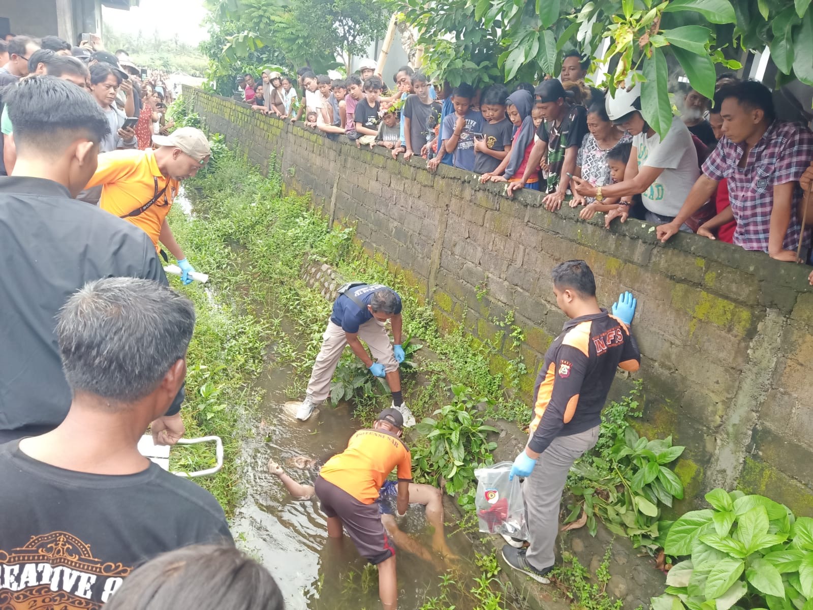 OLAH TKP : Warga terlihat memadati lokasi penemuan jenazah PY di saluran irigasi utara pertigaan Desa Yehkuning, Kecamatan Jembrana, Selasa (10/12/2024).