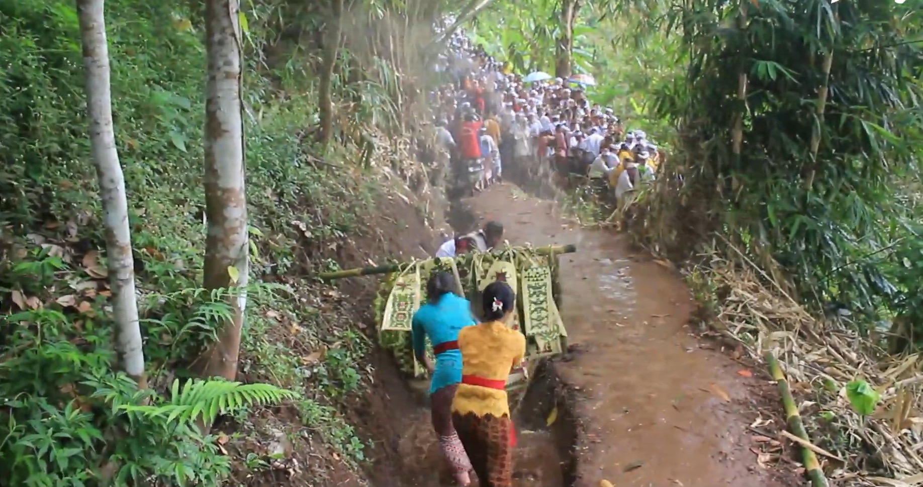 Tradisi Metampelan di Desa Lemukih, Kecamatan Sawan, Buleleng
