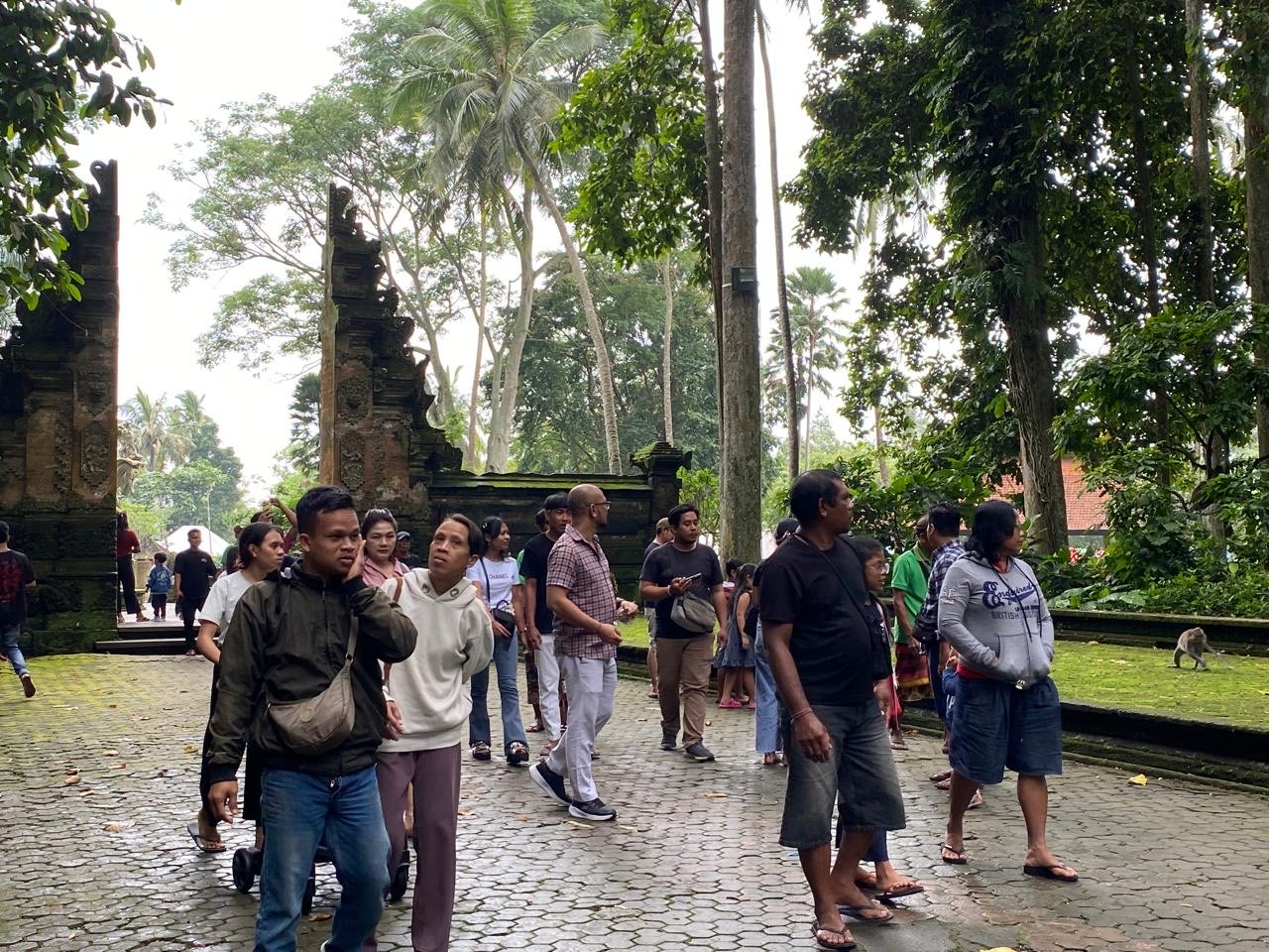 MENINGKAT: Suasana kunjungan wisatawan di DTW alas Pala Sangeh, Kecamatan Abiansemal, yang menunjukkan peningkatan, Rabu (1/1/2025).