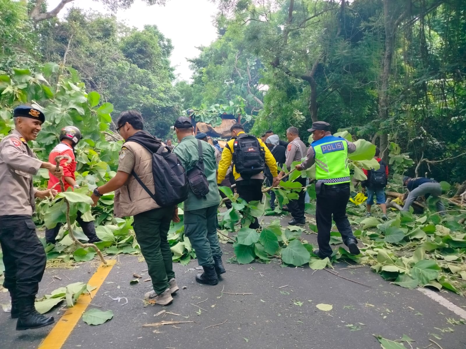 POHON TUMBANG : Pohon tumbang yang menimpa truk DK 8020 AJ di Jalur Utama Denpasar-Gilimanuk tepatnya di KM 122-123, Kelurahan Gilimanuk, Kecamatan Melaya, Selasa (7/1/2025)