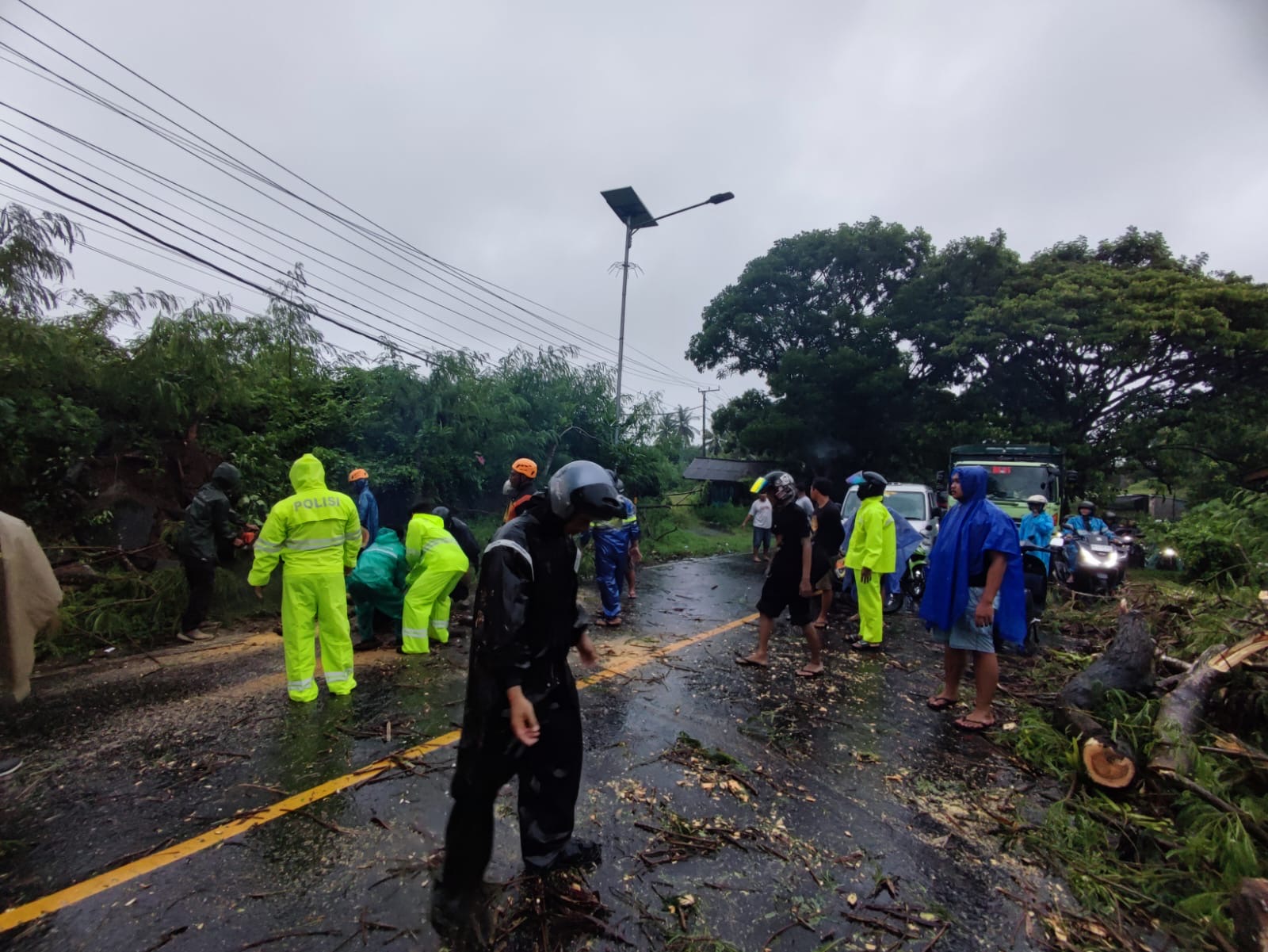 DIBERSIHKAN : Petugas BPBD melakukan pembersihan pohon Bunut di Banjar Bunut Puun Desa bantas Kecamatan Selemadeg Timur yang tumbang Jumat (10/1/2025) dini hari.