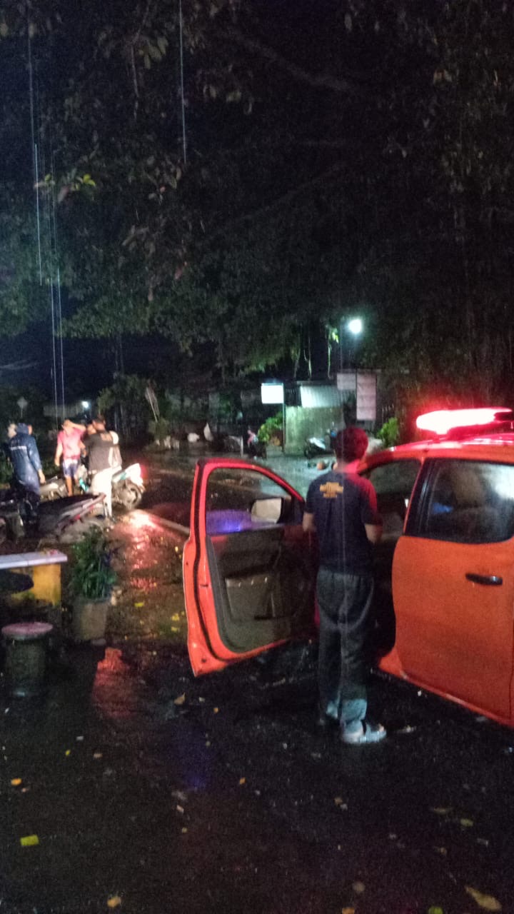 DIBERSIHKAN : Petugas BPBD melakukan pembersihan pohon Bunut di Banjar Bunut Puun Desa bantas Kecamatan Selemadeg Timur yang tumbang Jumat (10/1/2025) dini hari.