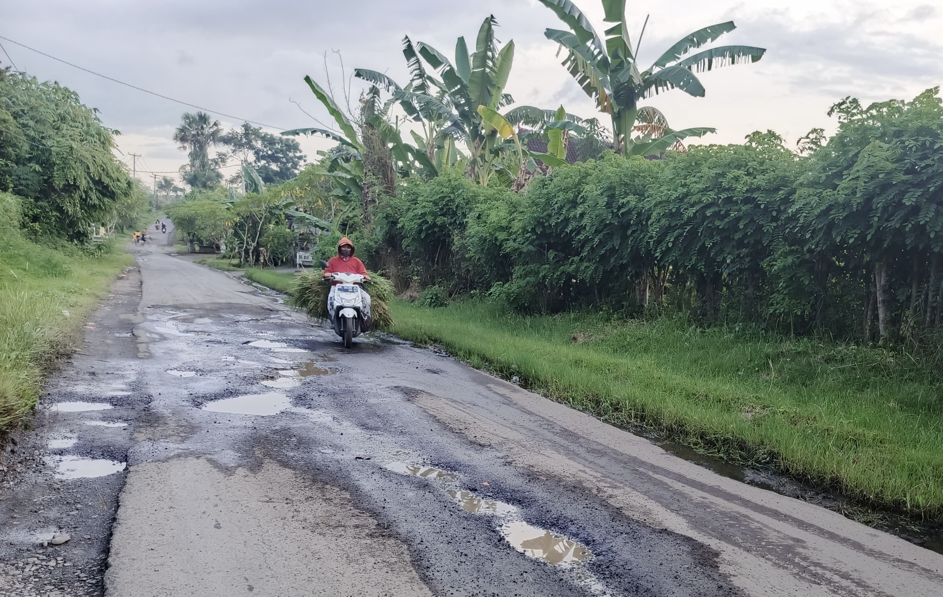 TUNGGU PERBAIKAN : Salah satu ruas jalan rusak di Kabupaten Jembrana.
