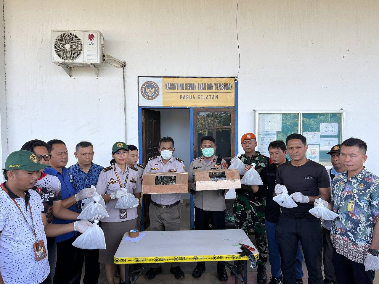 Petugas Barantin menunjukkan satwa reptil yang hendak diselundupkan di Merauke.