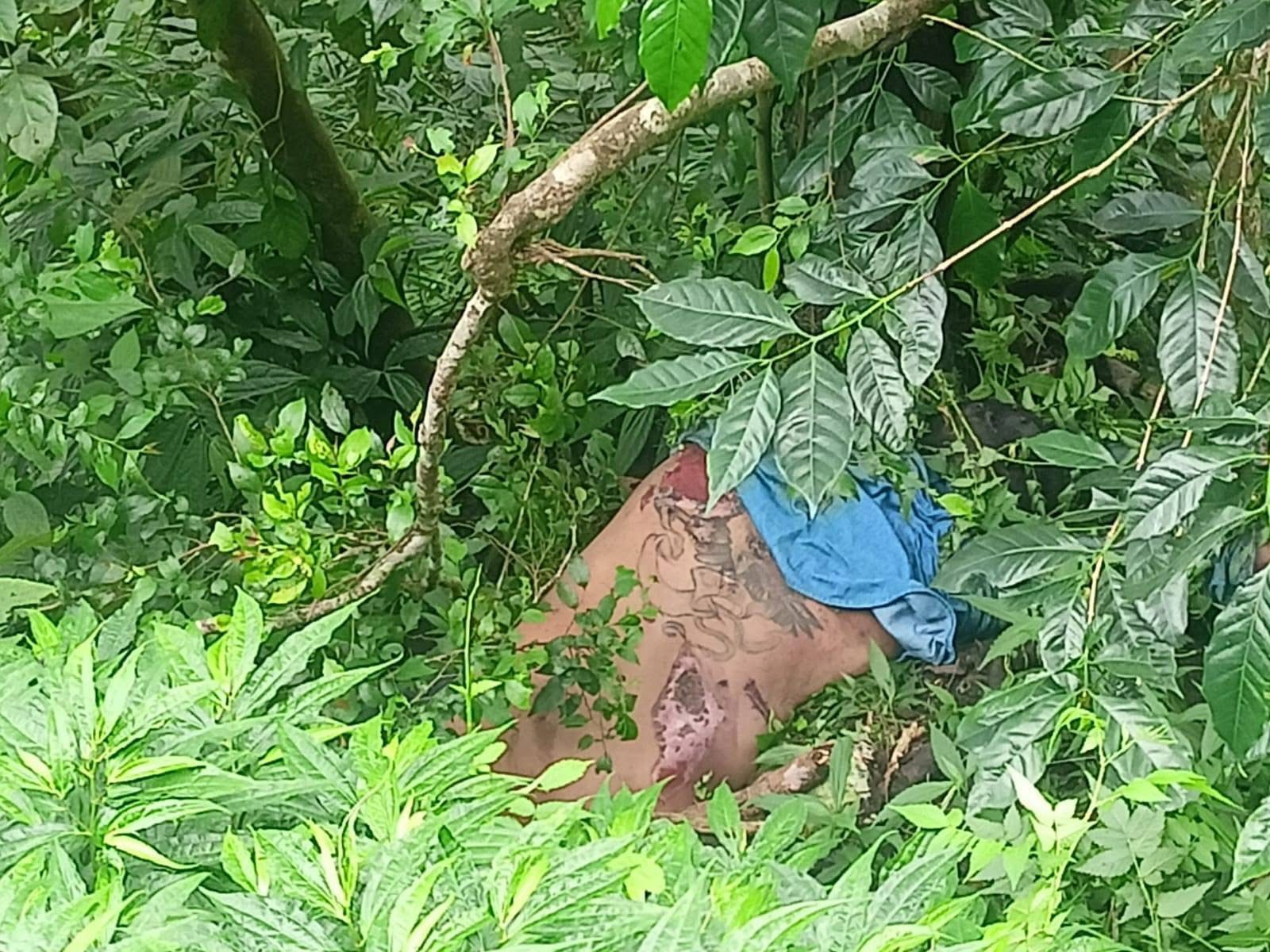 NYANGKUT : Mayat pria bertato yang tersangkut di bawah pohon di hutan lindung Desa Pancasari, Buleleng, Senin (3/2/2025).
