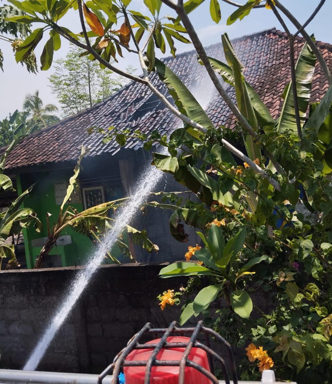 PADAMKAN API : Petugas Damkar Jembrana melakukan pemadaman api yang membakar bangunan sekolah Taman Kanak-Kanak (TK) Cantika Yoga di Kelurahan Tegalcangkring, Kecamatan Mendoyo, Kamis (6/2/2025).