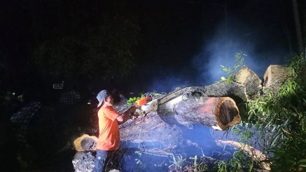 Hujan deras yang mengguyur Tabanan mengakibatkan sejumlah pohon tumbang dan perumahan terendam serta kios pasar Bajera kebanjiran.