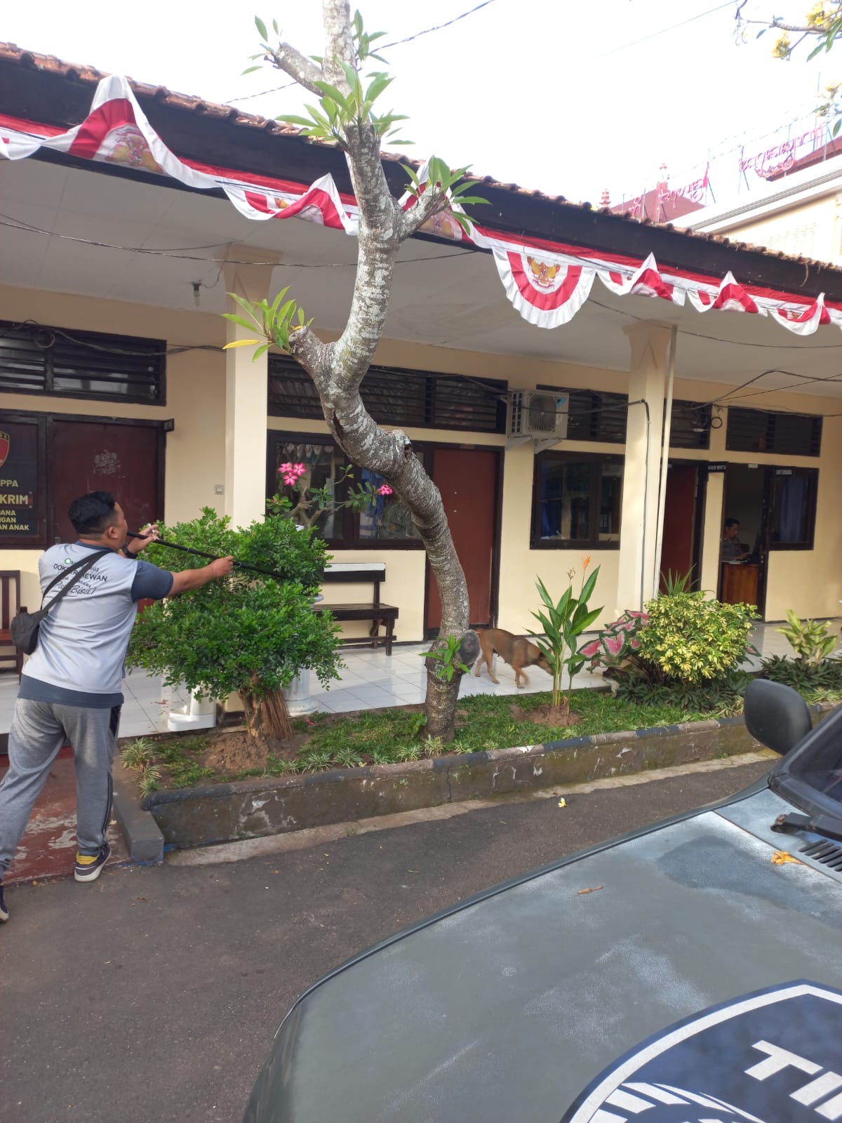 Kegiatan vaksinasi rabies di areal Polres Jembrana, Jumat (22/8).