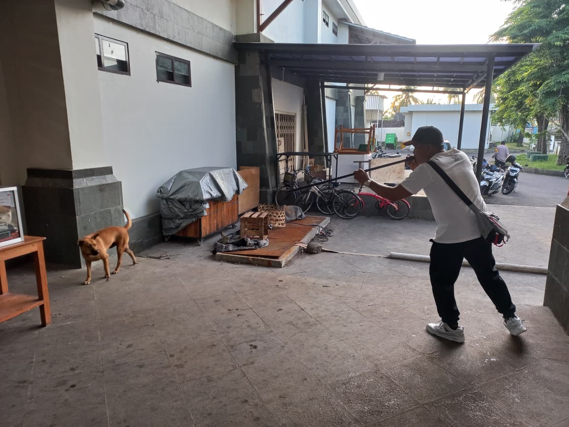 Kegiatan vaksinasi rabies di areal Pasar Umum Negara, Jumat (22/8).