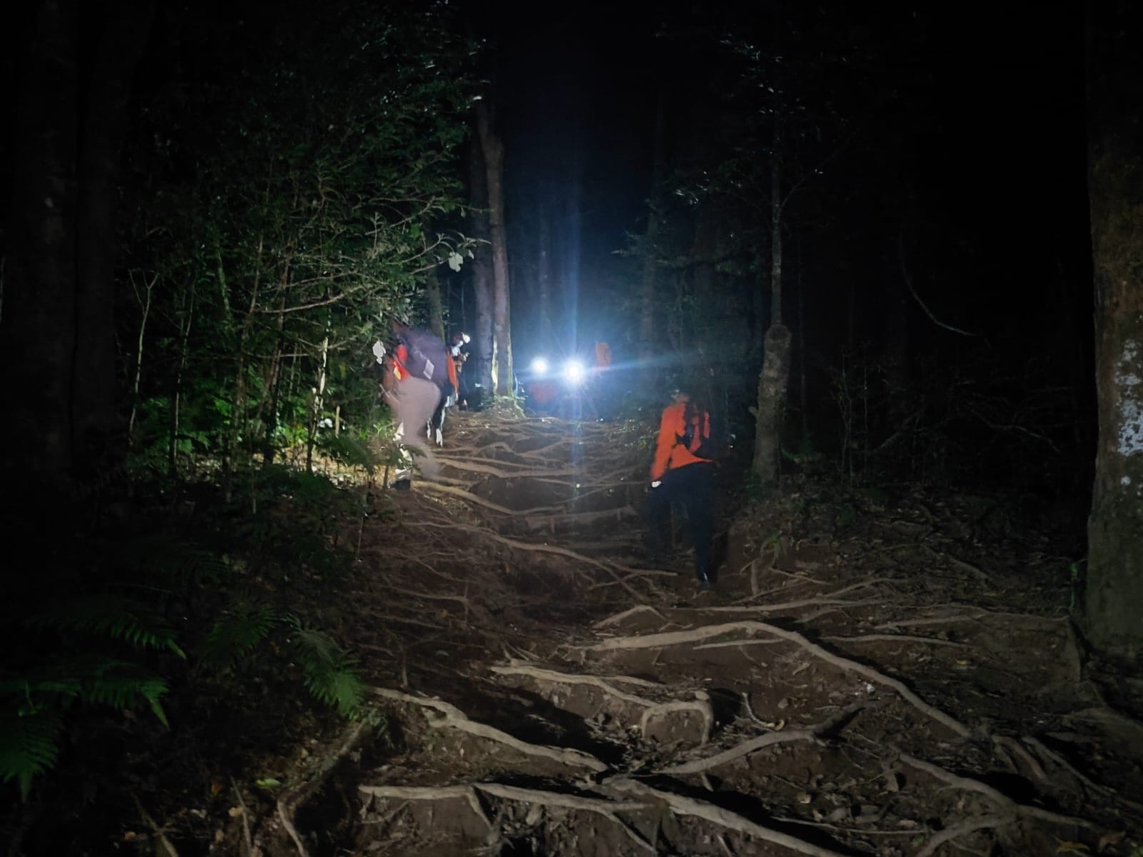 Proses evakuasi dua pendaki yang kelelahan di Gunung Batukaru, Tabanan, Sabtu (30/8).