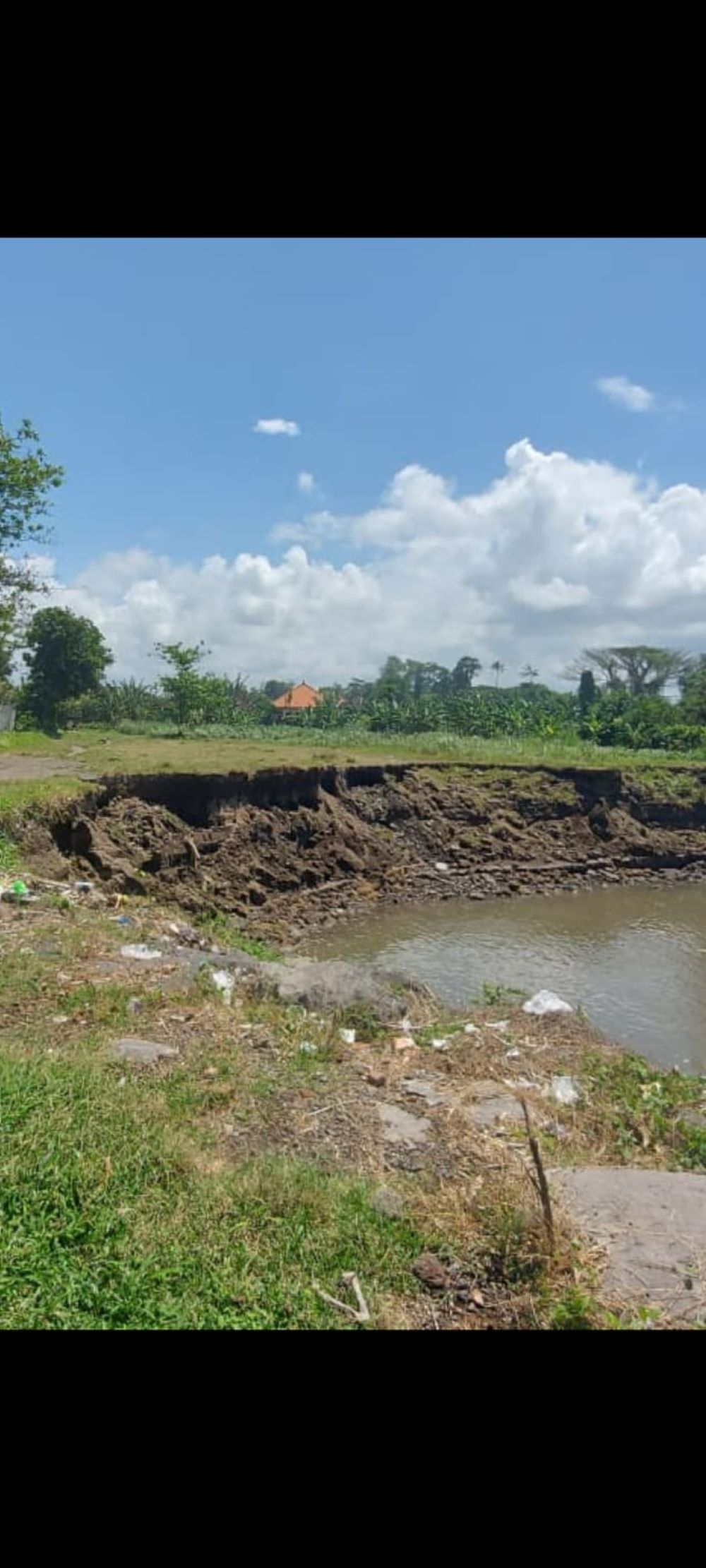 Abrasi Pantai Tegalbesar Klungkung kian mengkhawatirkan terutama pada TK Negeri dan SD Negeri 3 Negari yang jaraknya sekitar 100 meter.