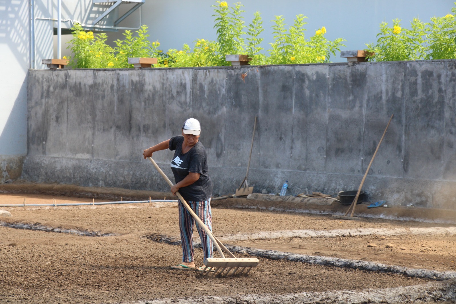 Proses pembuatan garam tradisional Amed.