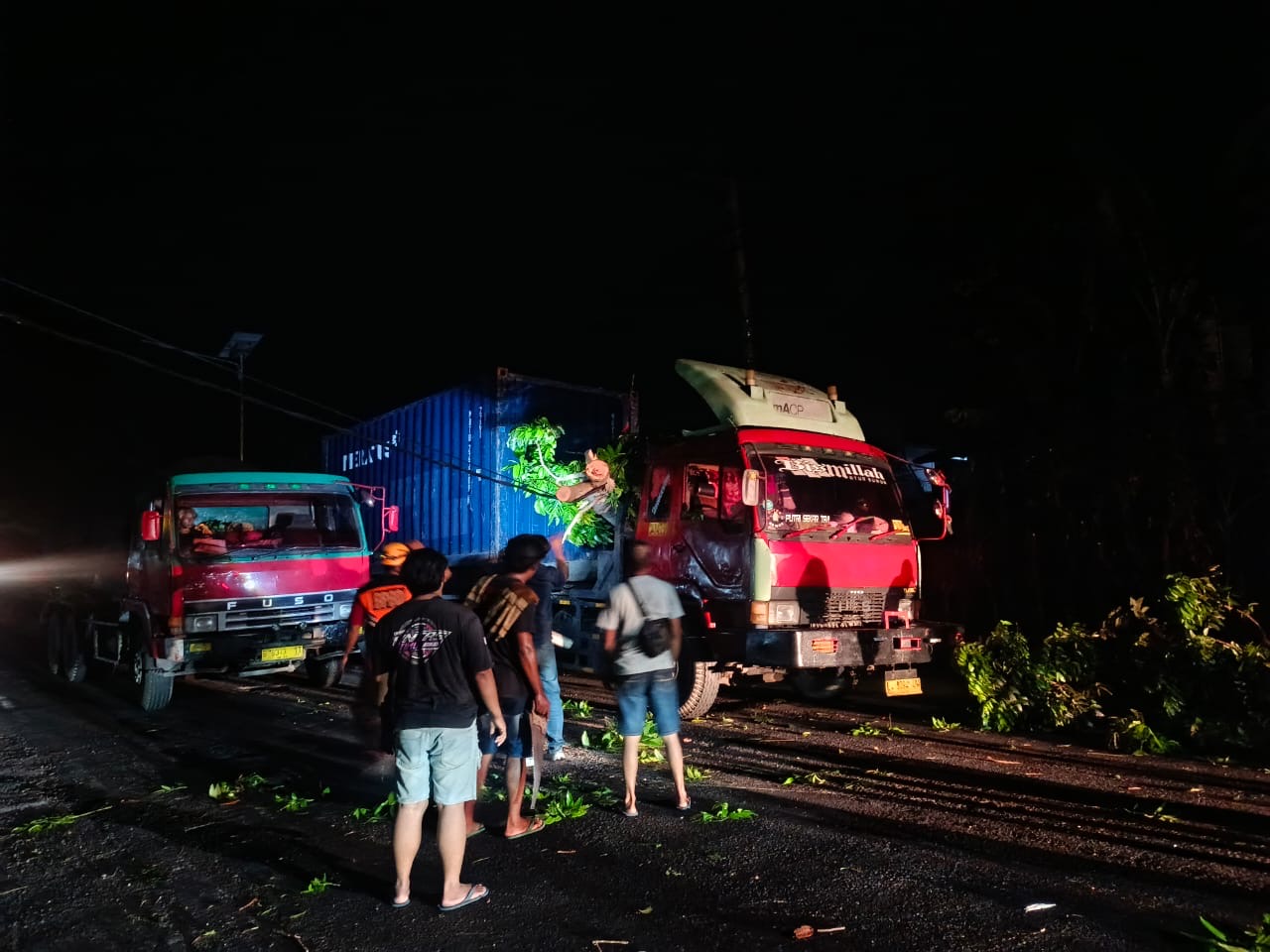 Penanganan pohon tumbang di Jalan Raya Denpasar-Gilimanuk Kelurahan Tegal Cangkring, Kecamatan Mendoyo, Kabupaten Jembrana,