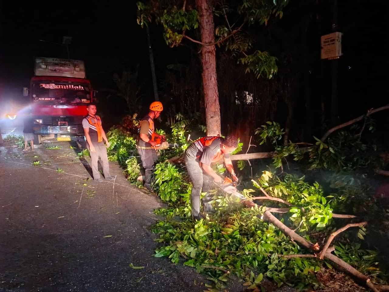 Penanganan pohon tumbang di Jalan Raya Denpasar-Gilimanuk Kelurahan Tegal Cangkring, Kecamatan Mendoyo, Kabupaten Jembrana,