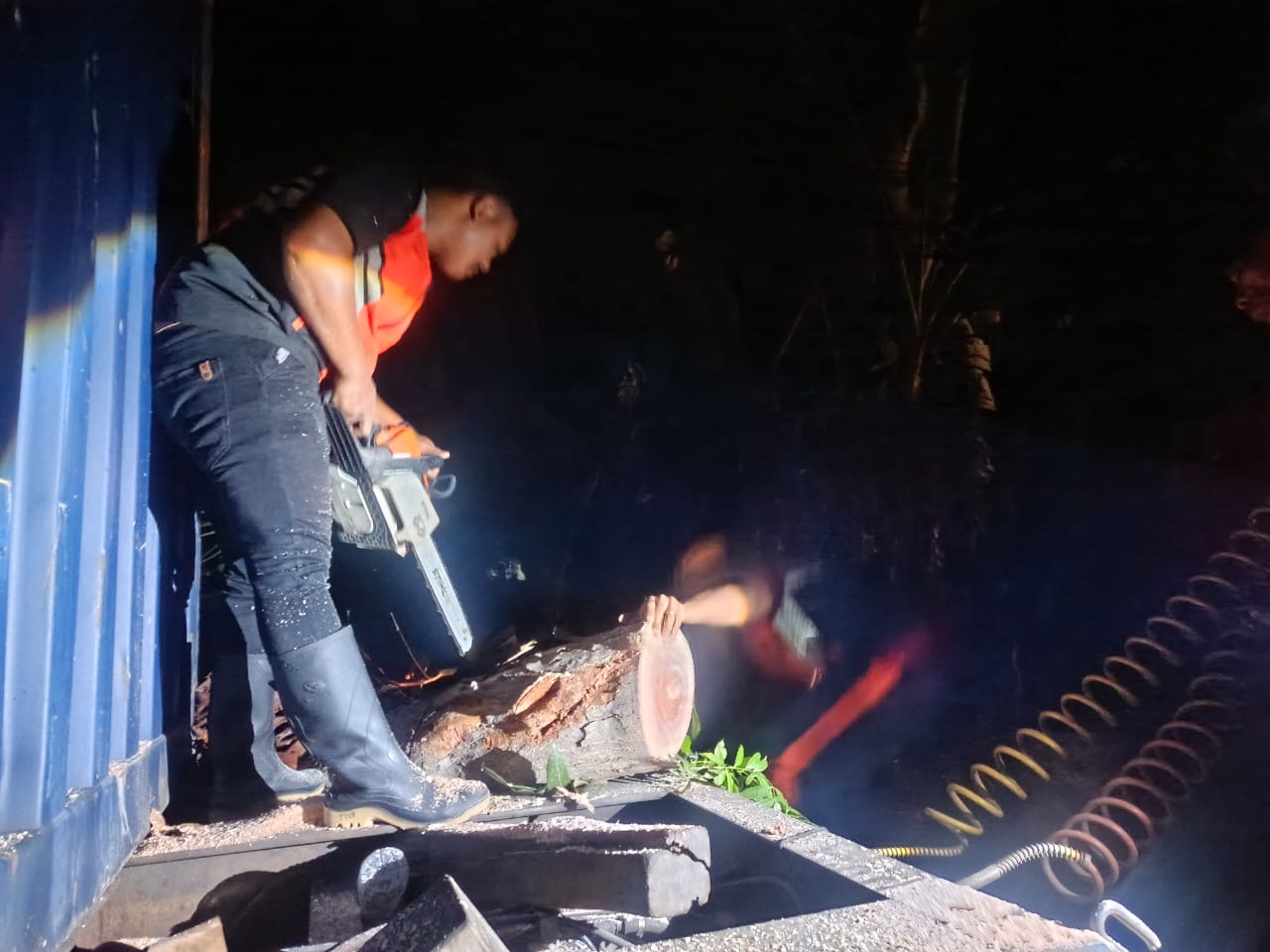 Penanganan pohon tumbang di Jalan Raya Denpasar-Gilimanuk Kelurahan Tegal Cangkring, Kecamatan Mendoyo, Kabupaten Jembrana,
