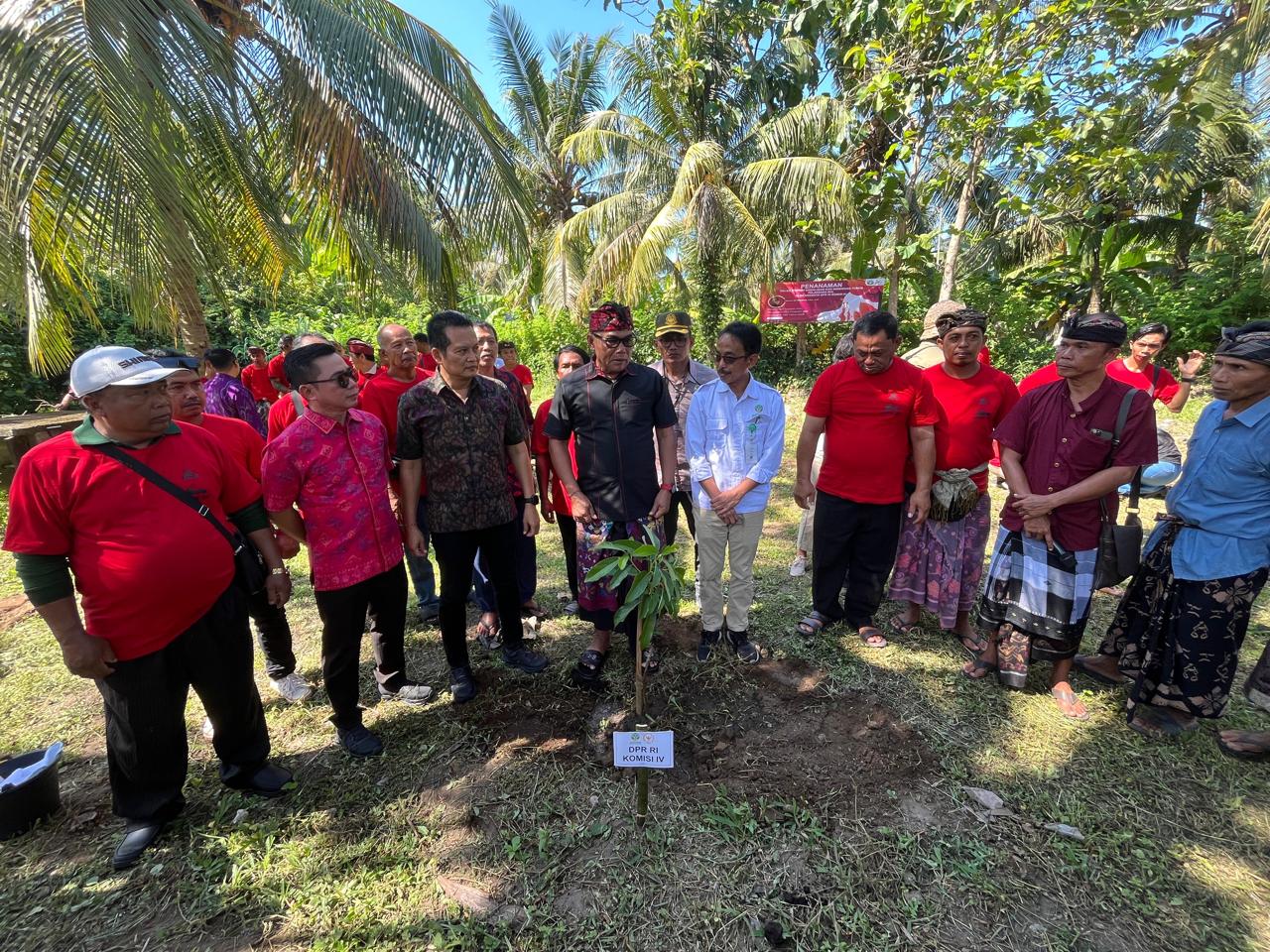 Sosialisasi dan Bimbingan Teknis Program Rehabilitasi Hutan dan Lahan (RHL), Kebun Bibit Rakyat (KBR), dan Bibit Produktif di Banjar Sumbersari, Desa Melaya, Selasa (14/10).