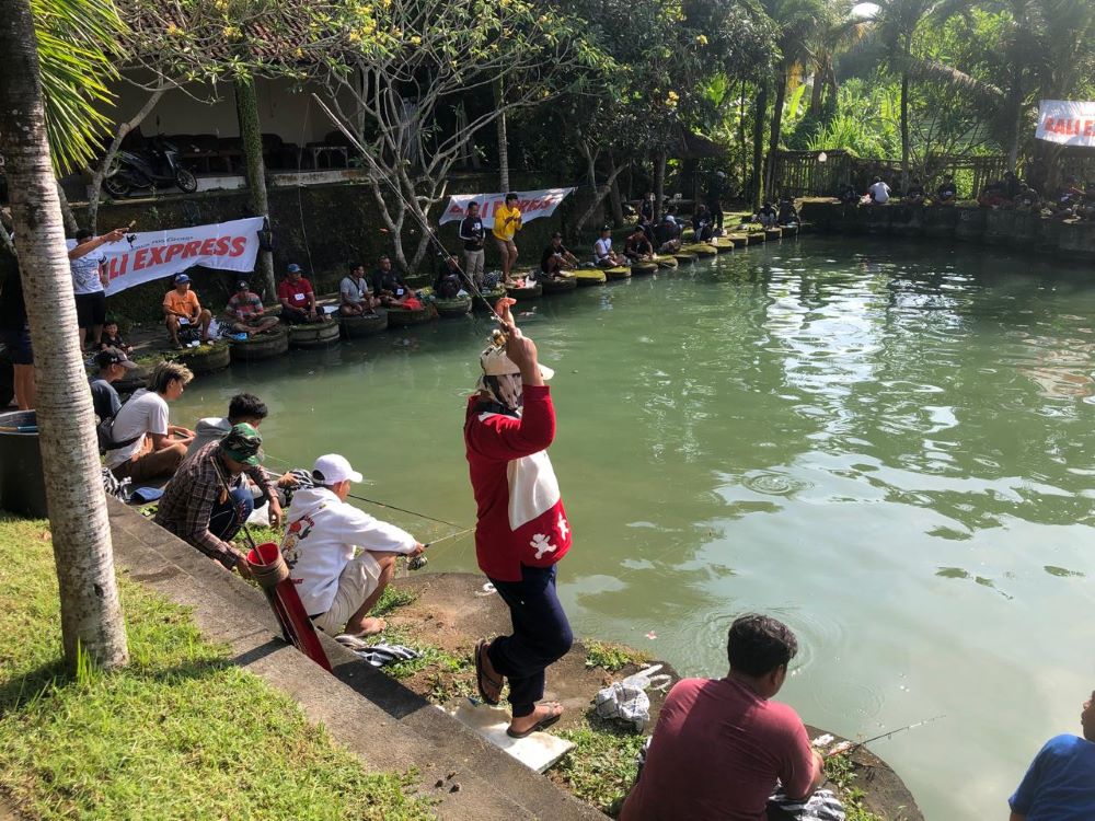 Lomba Mancing Express di Kolam Nirmala Klungkung penuh ketegangan saling adu strategi mendapatkan lele master.