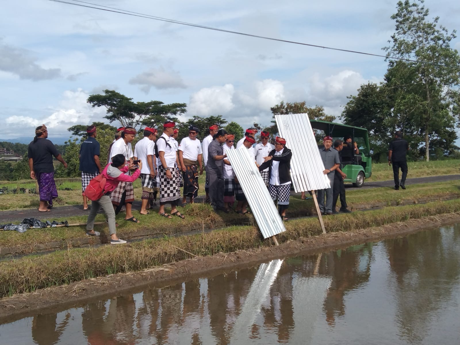 Bupati Tabanan I Komang Gede Sanjaya bersama petani melakukan pencabutan seng di lahan persawahan di DTW Jatiluwih, Kecamatan Penebel, Tabanan, Senin (5/1).&nbsp;