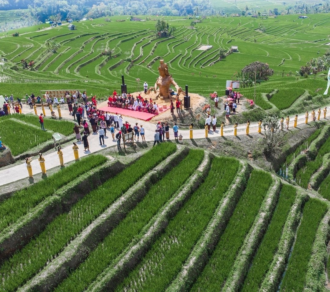 Obyek wisata Jatiluwih Tabanan.