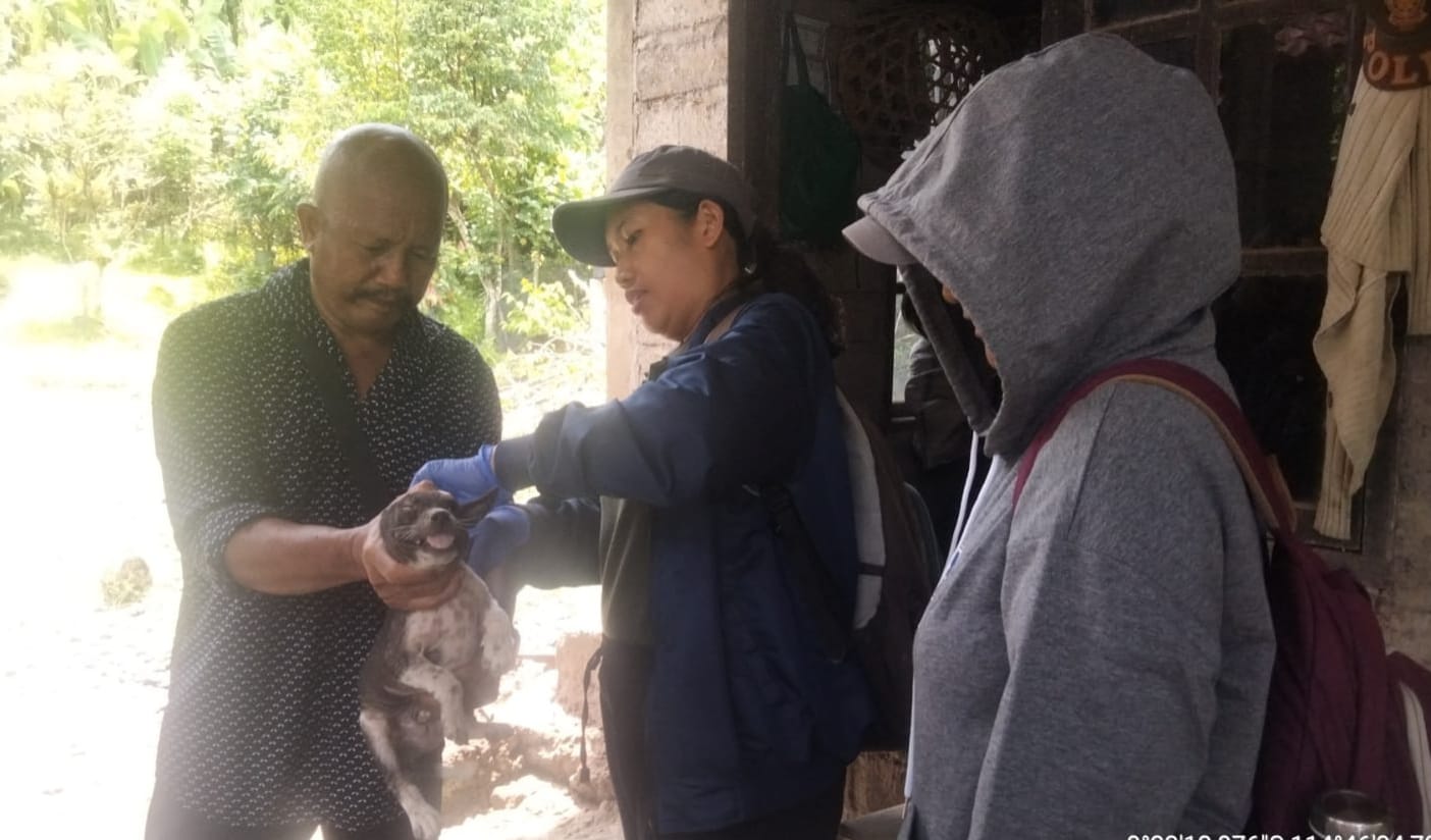 Petugas saat melakukan vaksinasi rabies di Kecamatan Mendoyo