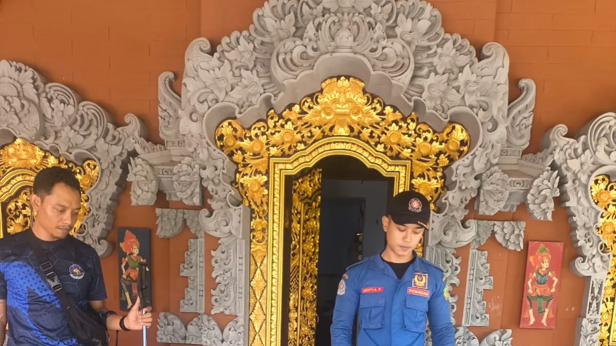 Petugas Damkar Jembrana bergerak cepat dan berhasil mengevakuasi ular king koros. (ist)