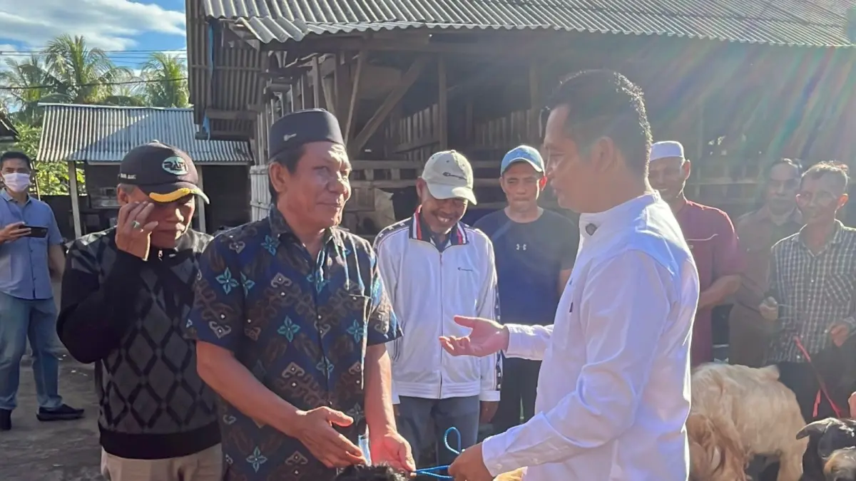 Bupati Jembrana I Made Kembang Hartawan saat menyerahkan bantuan hewan qurban, Swnin (25/5/2026). (ist)