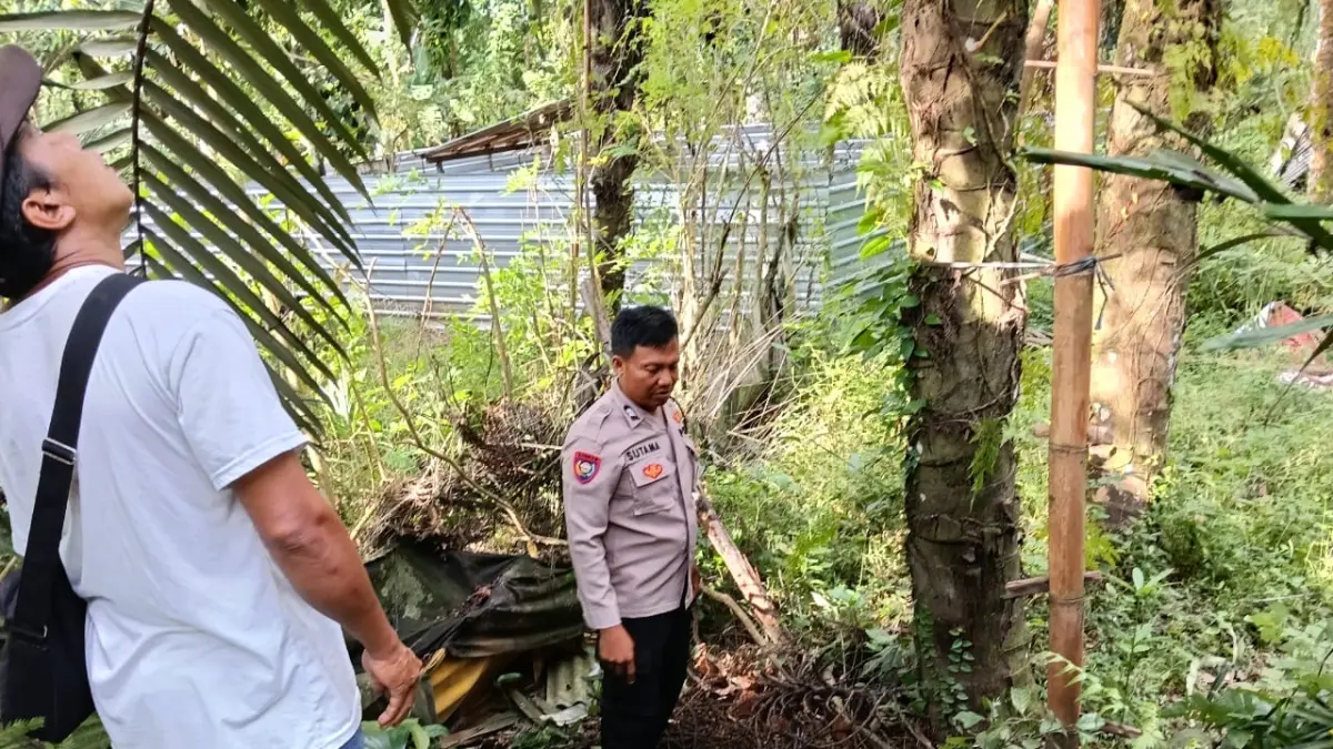 EVAKUASI : Proses evakuasi petani nira yang jatuh dari pohon enau di Kedewatan, Ubud. (ist)