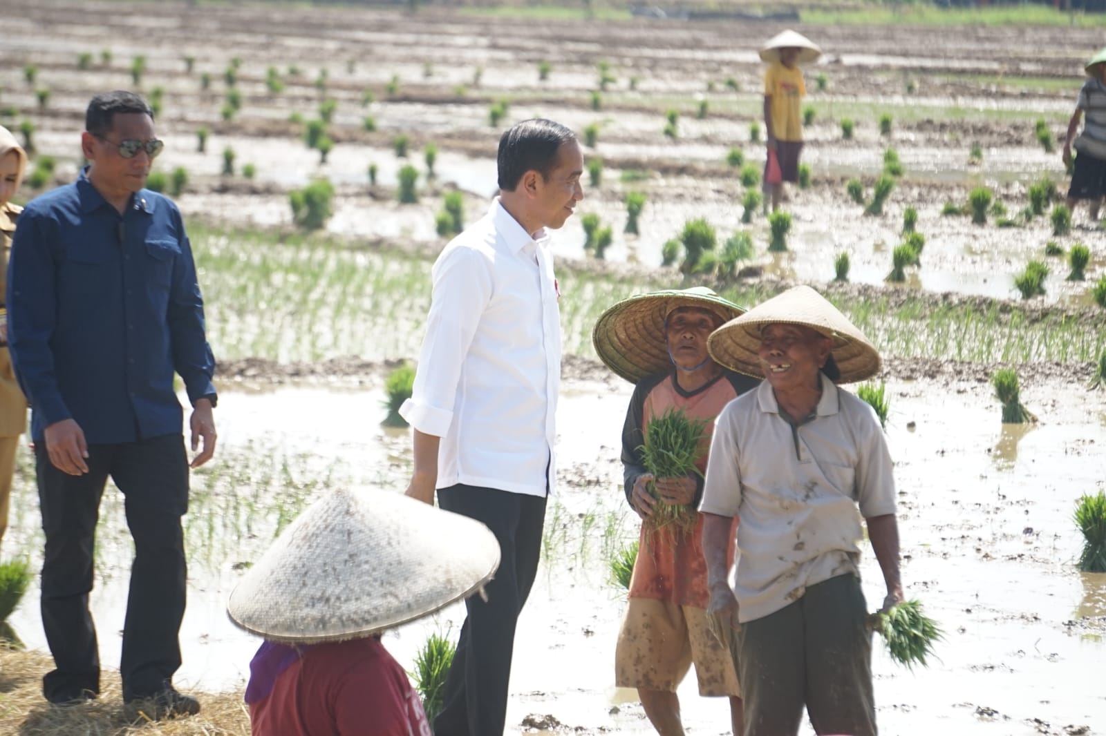 MENEMUI PETANI: Presiden Jokowi saat menyempatkan menemui petani dalam kunjungan kerjanya di Desa Kaibahan, Kecamatan Kesesi, Kabupaten Pekalongan, Rabu (13/12).