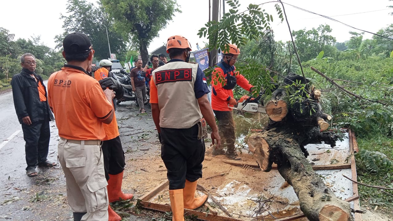 POHON TUMBANG : Tim SAR Bumi Santri bersama relawan saat berjibaku mengevakuasi pohon tumbang usai hujan reda, Senin sore (25/12/2023).