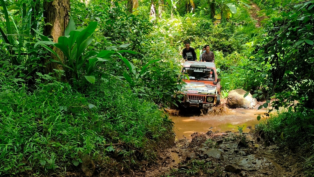 SERU: Rombongan Jeep saat menyusuri track di hutan Alas Roban (Riyan Fadli/Jawa Pos Metro Pekalongan)