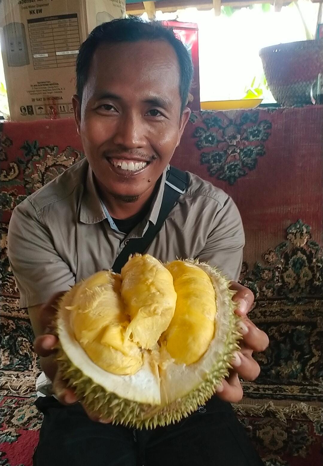 DURIAN DORO: Salah satu jenis durian lokal doro yang akan dibagikan di Festival durian Doro nanti.