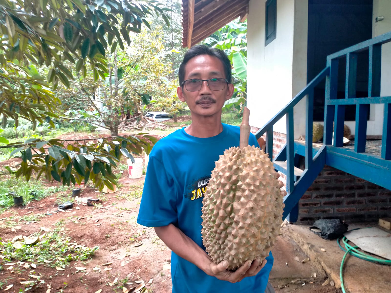 DURIAN DORO: Ketua Panitia Festival Durian Doro Baehaqi menunjukkan salah satu durian bawor yang akan dikonteskan di festival nanti.
