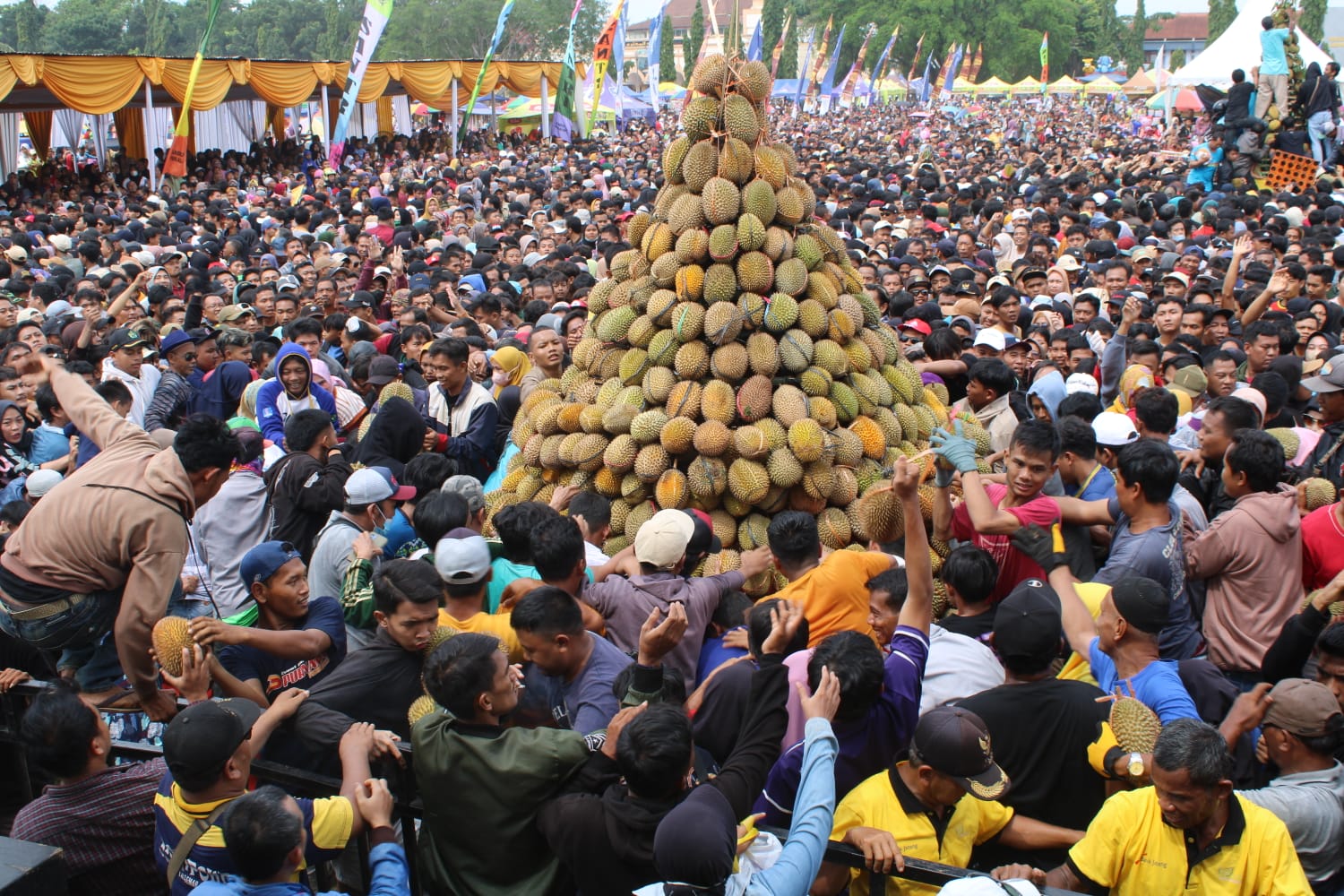 RICUH: Kericuhan yang terjadi di acara Festival Durian 2024 saat puluhan ribu orang berebut gunungan durian, di Alun-Alun Kajen, Kabupaten Pekalongan, Minggu (12/1/2024).