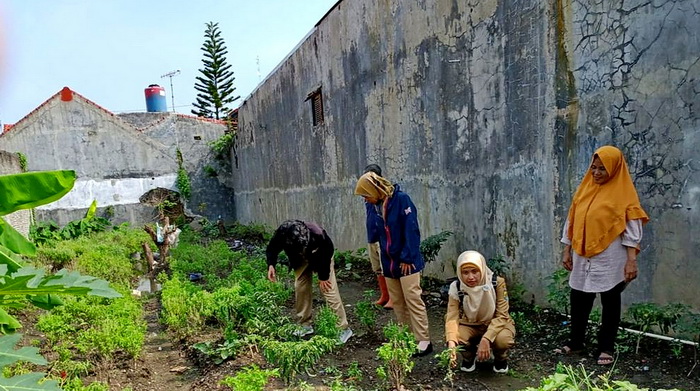 BERTANI PRODUKTIF : Salah satu kelompok tani di Kota Pekalongan sedang merawat tanaman di pekarangan rumahnya.