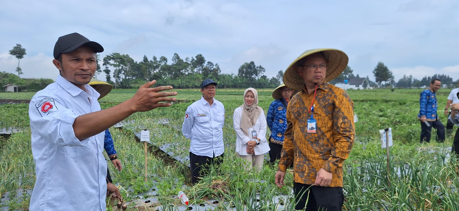 PANEN: BI Tegal bersama stakeholder saat panen bawang putih lokal calon varietas dan klon baru, di Desa Tuwel, Kecamatan Bojong, Kabupaten Tegal, Rabu (17/1/2024).