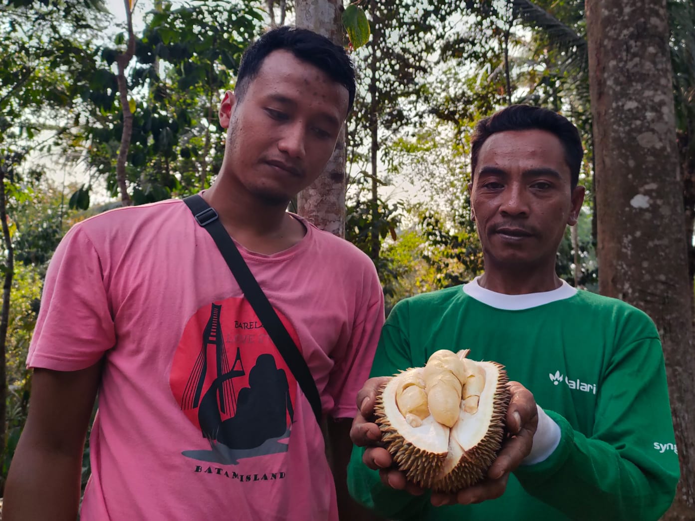 DURIAN UNIK: Petani durian saat menunjukkan Durian Bodrek yang baru dipanennya dari pohon. (Riyan Fadli/ Jawa Pos Metro Pekalongan)