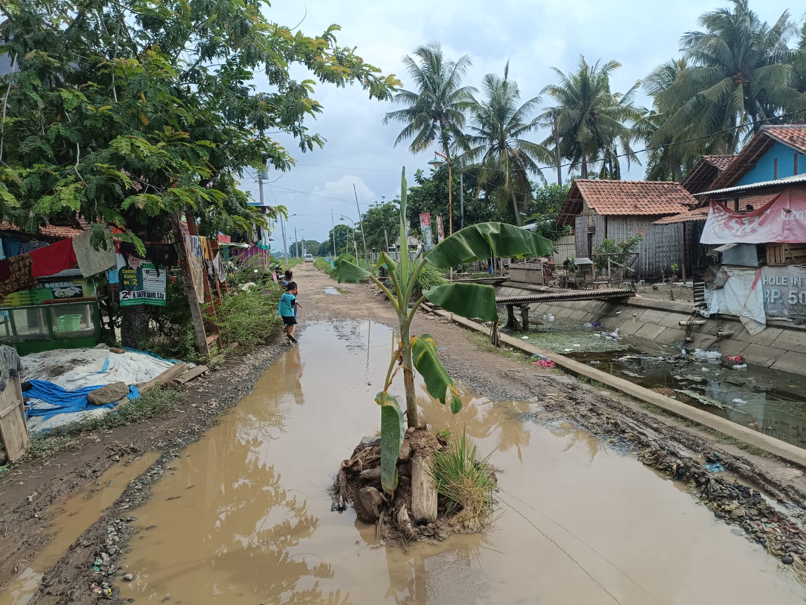 JALAN RUSAK: Kondisi jalan rusak di Desa Rembun, Kecamatan Siwalan, Kabupaten Pekalongan yang ditanami pohon pisang oleh warga.