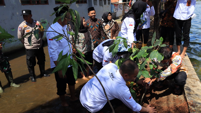 TANAM : Perwakilan KPPS di Kelurahan Pabean Pekalongan Utara saat diajak KPU Kota Pekalongan tanam pohon berbatang, pada Kamis 25 Januari 2024.