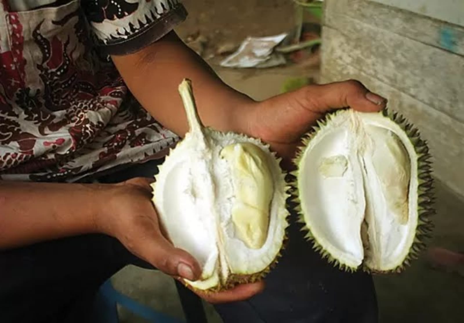 Foto Durian Kukus, durian lokal Desa Pundungsari, Kecamatan Tempursari, Kabupaten Lumajang.
