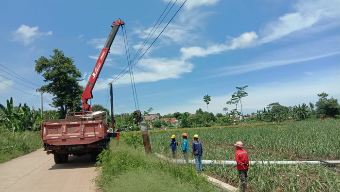 PERBAIKAN : Petugas PLN dari UP3 Semarang saat memperbaiki tiang roboh di wilayah Kecamatan Gringsing.
