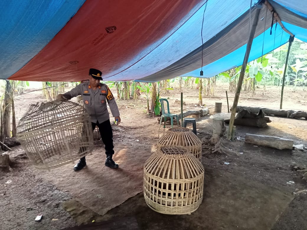 PATROLI : Kapolsek Kajen AKP Turkhan saat mendatangi lokasi yang diduga tempat sabung ayam di Desa Kebonagung, Kecamatan Kajen, Kabupaten Pekalongan.