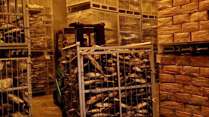 GUDANG: Pekerja saat mengangkut ikan beku dari gudang untuk di kemas di truk di gudang milik&nbsp;PT. Nelayan Samudra Jaya di Jalan Seruni Krapyak Lor Pekalongan Utara.