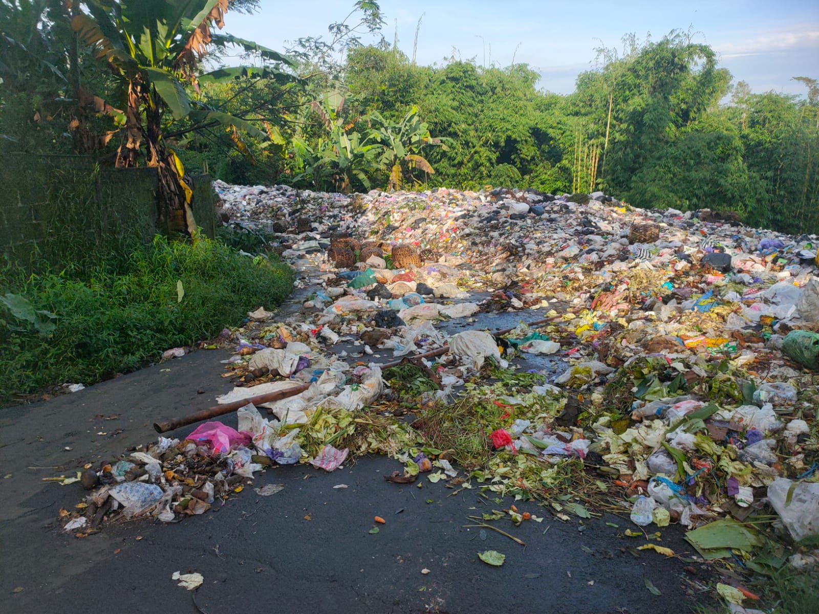 TUMPUKAN SAMPAH: Tumpukan sampah tiba-tiba menutup jalan provinsi di Desa Surjo, Kecamatan Bawang. (istimewa)
