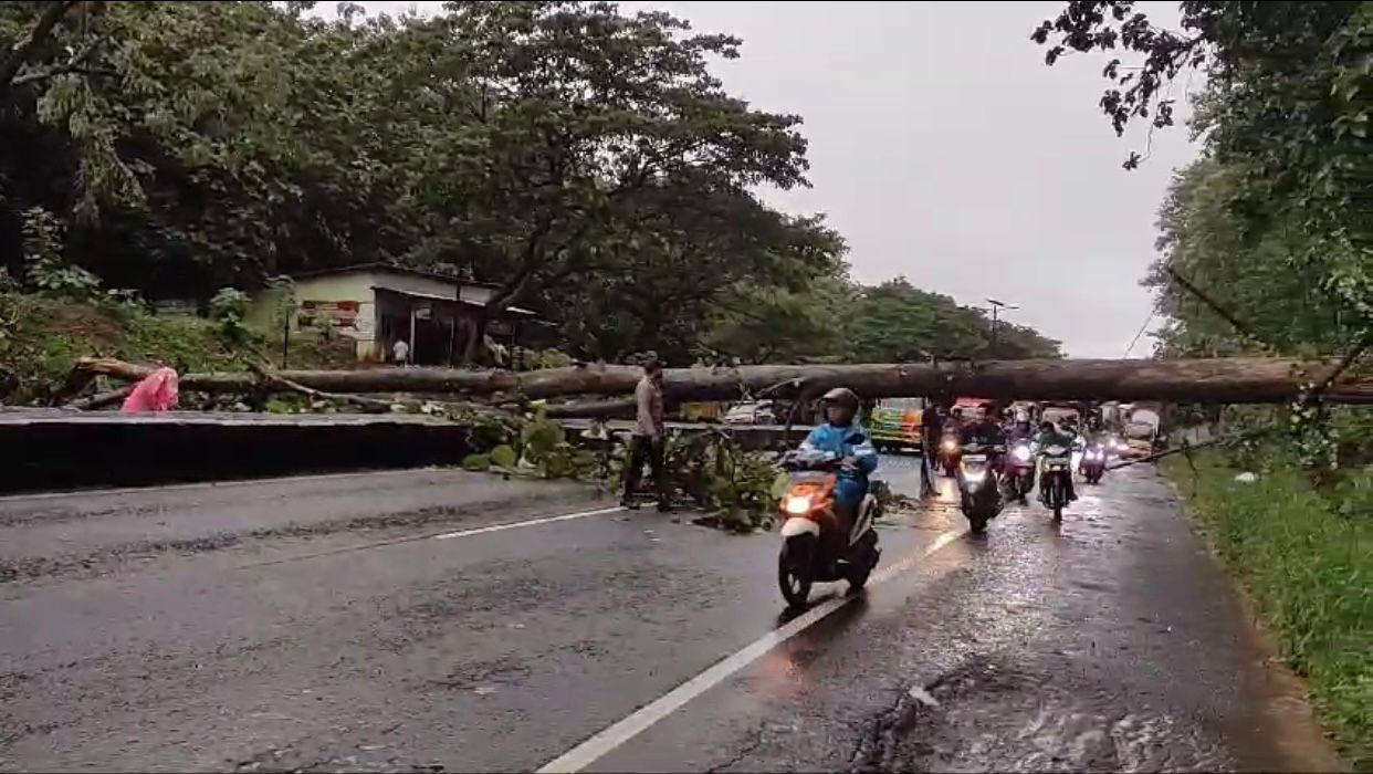 MELINTANG: Evakuasi pohon tumbang di Pantura Desa Penundan, Kecamatan Banyuputih, Kabupaten Batang. (istimewa)